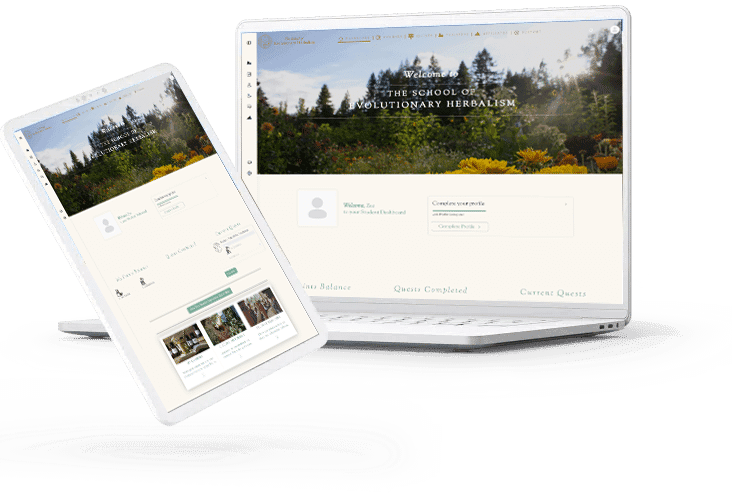 B2B Solutions case study